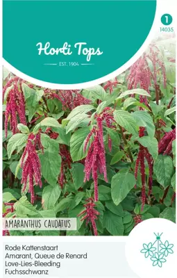 Horti tops zaden amaranthus, rode kattenstaart - afbeelding 1