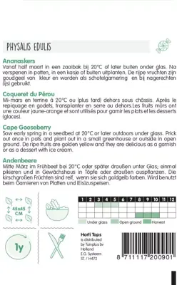 Horti tops zaden ananaskers - peruviana - afbeelding 2