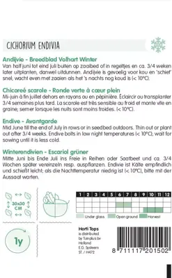 Horti tops zaden andijvie breedblad volhart winter - afbeelding 2