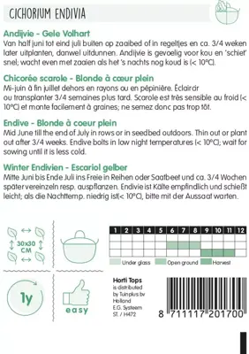 Horti tops zaden Andijvie Gele Volhart - afbeelding 2