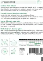 Horti tops zaden Andijvie Gele Volhart - afbeelding 2