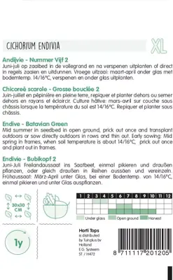 Horti tops zaden andijvie nummer vijf 2 - afbeelding 2