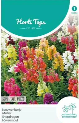 Horti tops zaden antirrhinum, leeuwenbekje half-hoge gemengd - afbeelding 1
