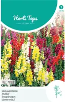 Horti tops zaden antirrhinum, leeuwenbekje hoog gemengd kopen?