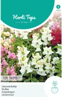 Horti tops zaden antirrhinum, leeuwenbekje tom thumb gemengd - afbeelding 1