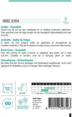 Horti tops zaden Arabis, Scheefkelk Snowball - afbeelding 2