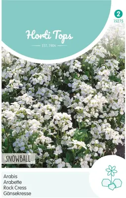 Horti tops zaden Arabis, Scheefkelk Snowball - afbeelding 1