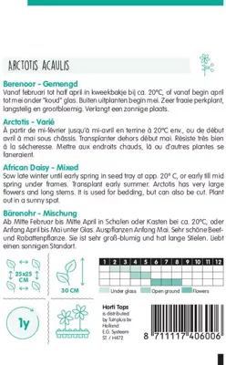 Horti tops zaden arctotis, berenoor gemengd - afbeelding 2