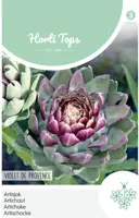 Horti tops zaden artisjok violet de provence - afbeelding 1