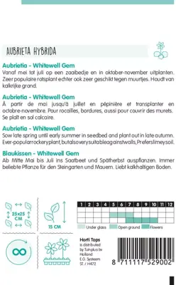 Horti tops zaden Aubrietia, blauwkussen whitewell - afbeelding 2