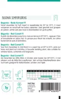 Horti tops zaden begonia f1 rode komeet - afbeelding 2