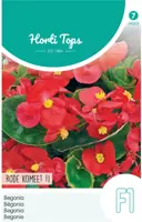 Horti tops zaden begonia f1 rode komeet - afbeelding 1