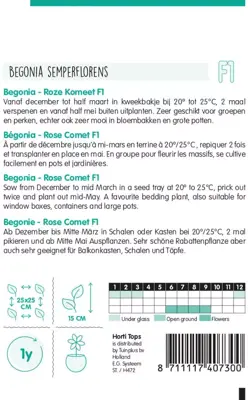 Horti tops zaden begonia f1 rose komeet - afbeelding 2