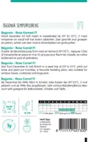 Horti tops zaden begonia f1 rose komeet - afbeelding 2