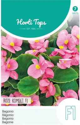 Horti tops zaden begonia f1 rose komeet - afbeelding 1