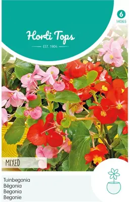 Horti tops zaden begonia, tuinbegonia gemengd - afbeelding 1