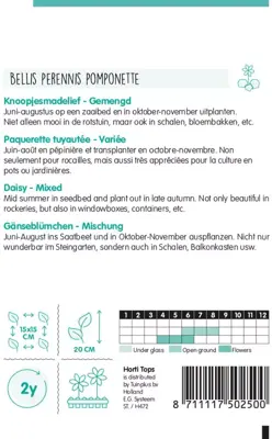 Horti tops zaden Bellis Perennis, Knoopjesmadelief gemengd - afbeelding 2