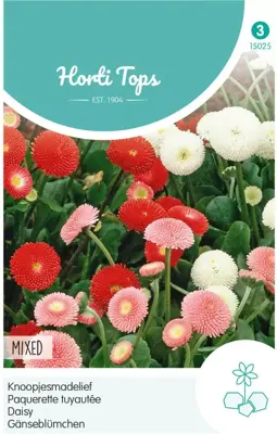 Horti tops zaden Bellis Perennis, Knoopjesmadelief gemengd - afbeelding 1