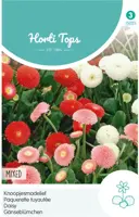 Horti tops zaden Bellis Perennis, Knoopjesmadelief gemengd kopen?