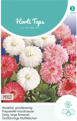 Horti tops zaden bellis perennis, madelief monstrosa dubbelbloemig gemengd - afbeelding 1