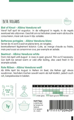 Horti tops zaden Bieten Albina Vereduna wit - afbeelding 2