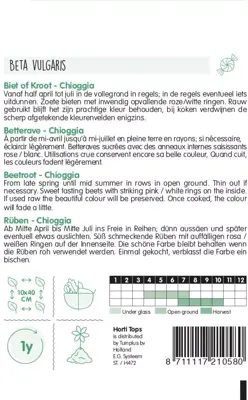 Horti tops zaden Bieten Chioggia - afbeelding 2