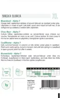 Horti tops zaden bloemkool alpha 7 - afbeelding 2