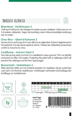 Horti tops zaden bloemkool herfstreuzen 2 - afbeelding 2