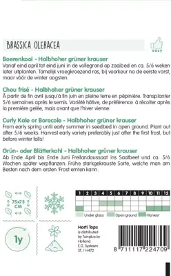 Horti tops zaden boerenkool middelhoge fijne krul - afbeelding 2