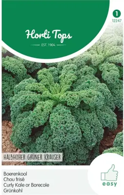 Horti tops zaden boerenkool middelhoge fijne krul - afbeelding 1