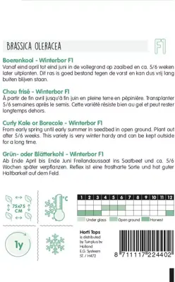 Horti tops zaden boerenkool reflex f1 - afbeelding 2