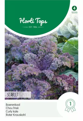Horti tops zaden Boerenkool Scarlet, paars - afbeelding 1