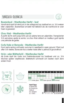 Horti tops zaden boerenkool westlandse herfst (laat type) - afbeelding 2