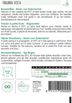 Horti tops zaden bosaardbei - baron von solemacher - afbeelding 2