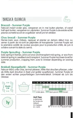 Horti tops zaden broccoli summer purple - afbeelding 2