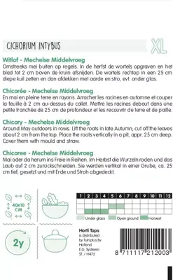 Horti tops zaden brusselse witlof mechelse middelvroeg - afbeelding 2