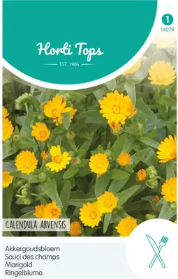 Horti tops zaden calendula arvensis, akkergoudsbloem - afbeelding 1