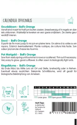 Horti tops zaden calendula, goudsbloem ball's oranje dubbelbloemig - afbeelding 2