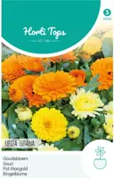 Horti tops zaden calendula, goudsbloem fiesta gitana gemengd - afbeelding 1