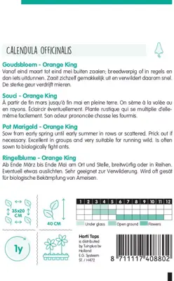 Horti tops zaden calendula, goudsbloem orange king - afbeelding 2