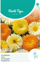 Horti tops zaden calendula, goudsbloem pacific beauty gemengd - afbeelding 1