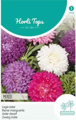 Horti tops zaden callistephus chinensis dwergchry - afbeelding 1