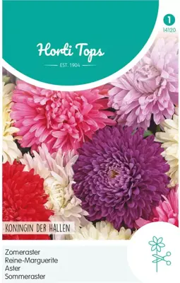 Horti tops zaden callistephus chinensis koningin - afbeelding 1