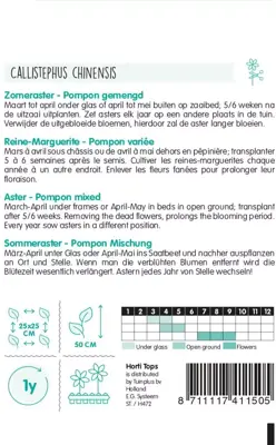 Horti tops zaden callistephus chinensis pompon - afbeelding 2