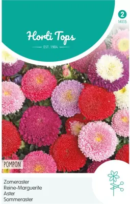 Horti tops zaden callistephus chinensis pompon - afbeelding 1