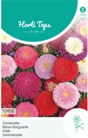 Horti tops zaden callistephus chinensis pompon - afbeelding 1