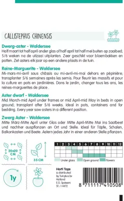 Horti tops zaden Callistephus, Dwerg-aster Waldersee gemengd - afbeelding 2