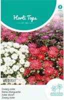 Horti tops zaden Callistephus, Dwerg-aster Waldersee gemengd - afbeelding 1