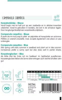 Horti tops zaden campanula, Karpatenklokje blauw - afbeelding 2