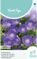 Horti tops zaden campanula, Karpatenklokje blauw - afbeelding 1